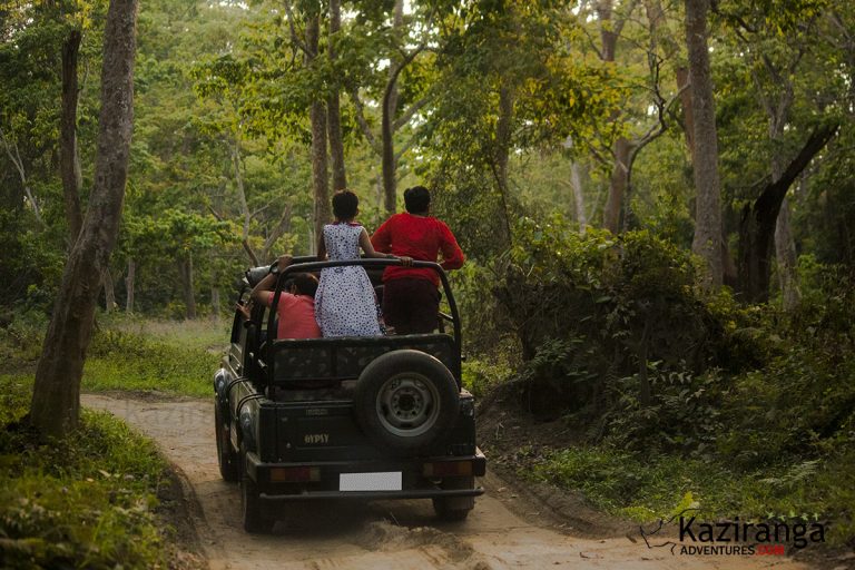 Kaziranga Jeep Safari Online Booking @Rs 2400 Only| Kaziranga Adventures